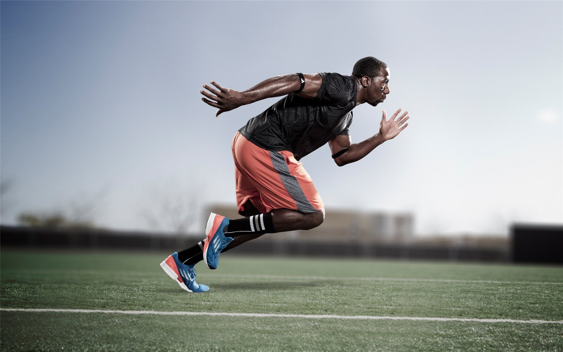 仰泳新秀摩纳哥表现超预期