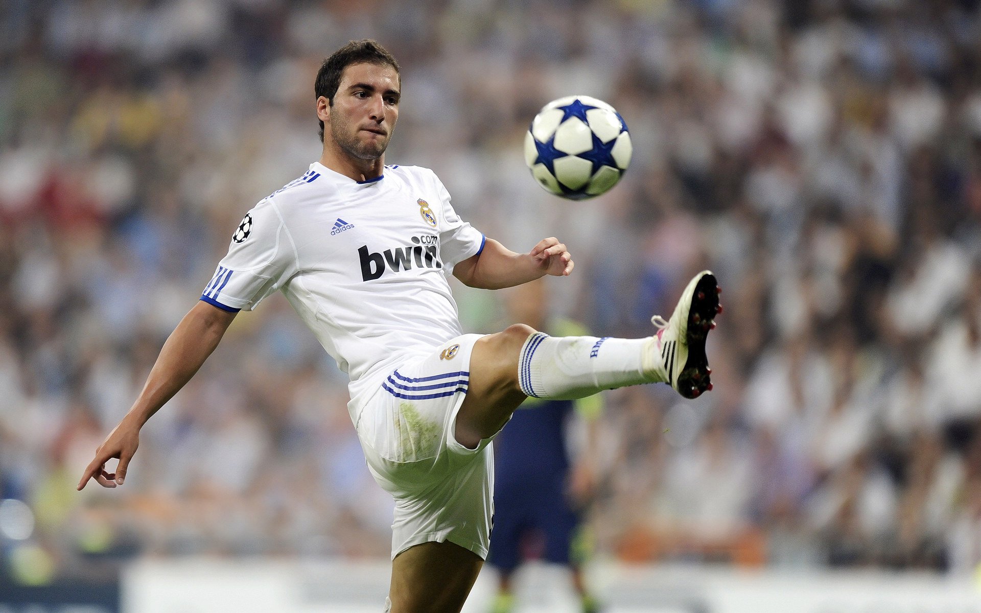 意大利男队未来潜力巨大，意大利队2022